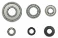 Bosch - 5 Parça Freze Bilye Yatağı Seti 2608629391