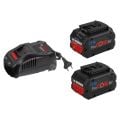 Bosch Procore 18 Volt Akü Seti (2 Adet Procore 18V 5.5 Ah + Gal 1880 Cv) - 1600A0214c