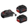 Bosch Procore 18 Volt Akü Seti (2 Adet Procore 18V 5.5 Ah + Gal 1880 Cv) - 1600A0214c