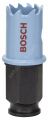 Bosch - Special Serisi Metal Ve Inox Malzemeler için Delik Açma Testeresi (Panç) 20 mm 2608584781