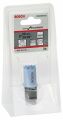 Bosch - Special Serisi Metal Ve Inox Malzemeler için Delik Açma Testeresi (Panç) 20 mm 2608584781
