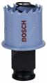 Bosch - Special Serisi Metal Ve Inox Malzemeler için Delik Açma Testeresi (Panç) 29 mm 2608584786