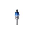 Expert 17 mm Elmaslı Inox Panç Adaptörlü 2608901400