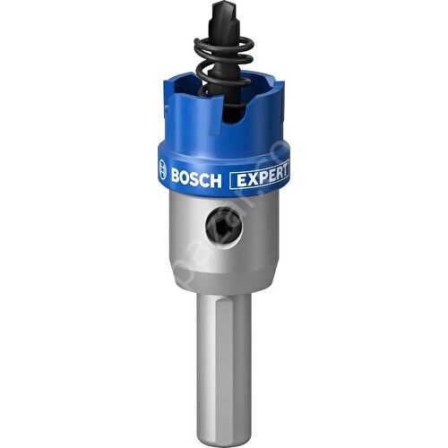 Bosch Expert Tct Elmas Uçlu Panç 18 mm