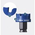 Bosch Expert Tct Elmas Uçlu Panç 20 mm