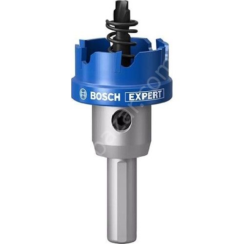 Bosch Expert 29 mm Elmaslı Inox Panç Adaptörlü 2608901412