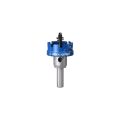 Expert 36 mm Elmaslı Inox Panç Adaptörlü 2608901419