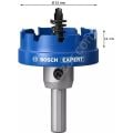 Bosch Expert 52 mm Elmaslı Inox Panç Adaptörlü 2608901435