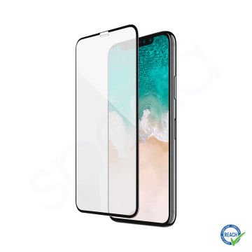iPhone 11 Pro Spada Mat Tam Ekran Koruma Camı