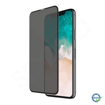 iPhone 11 Pro Max Spada Privacy Tam Ekran Koruyucu Cam