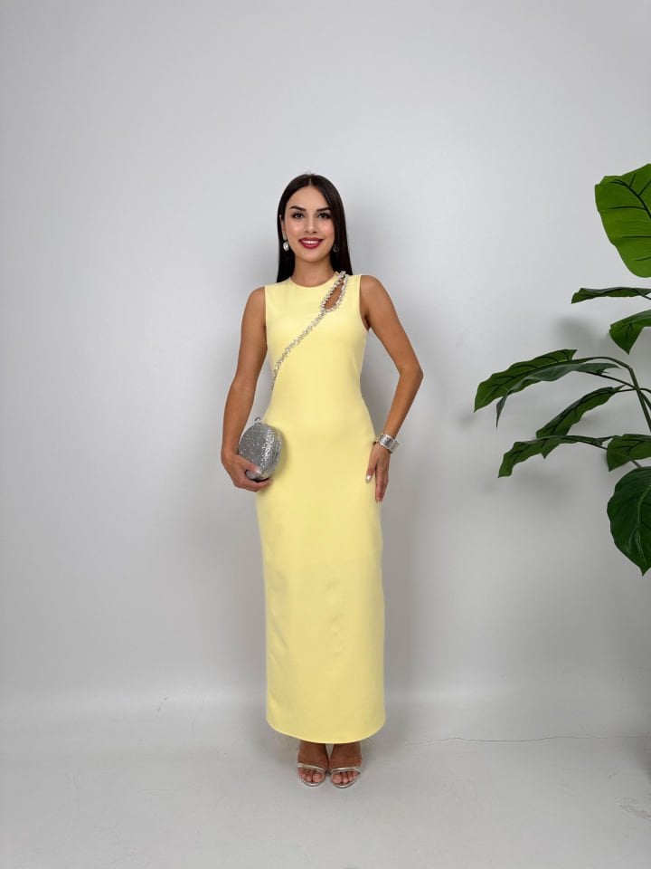 SARI