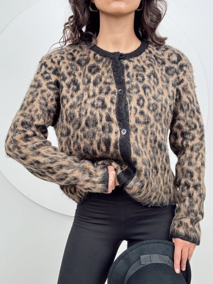 LEOPAR