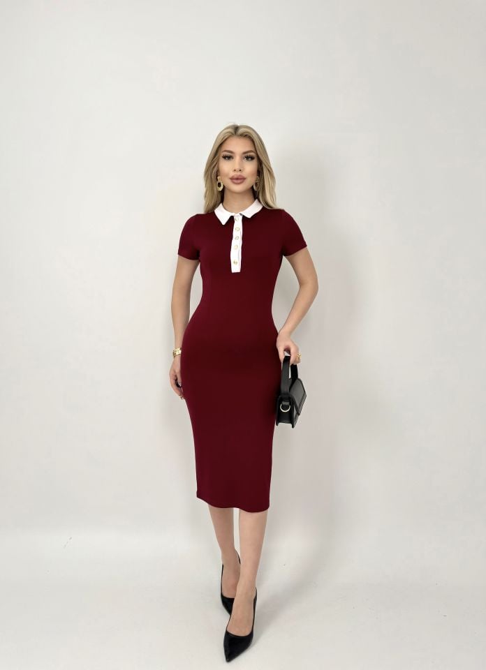 3002 POLO YAKA ELBİSE KIRMIZI