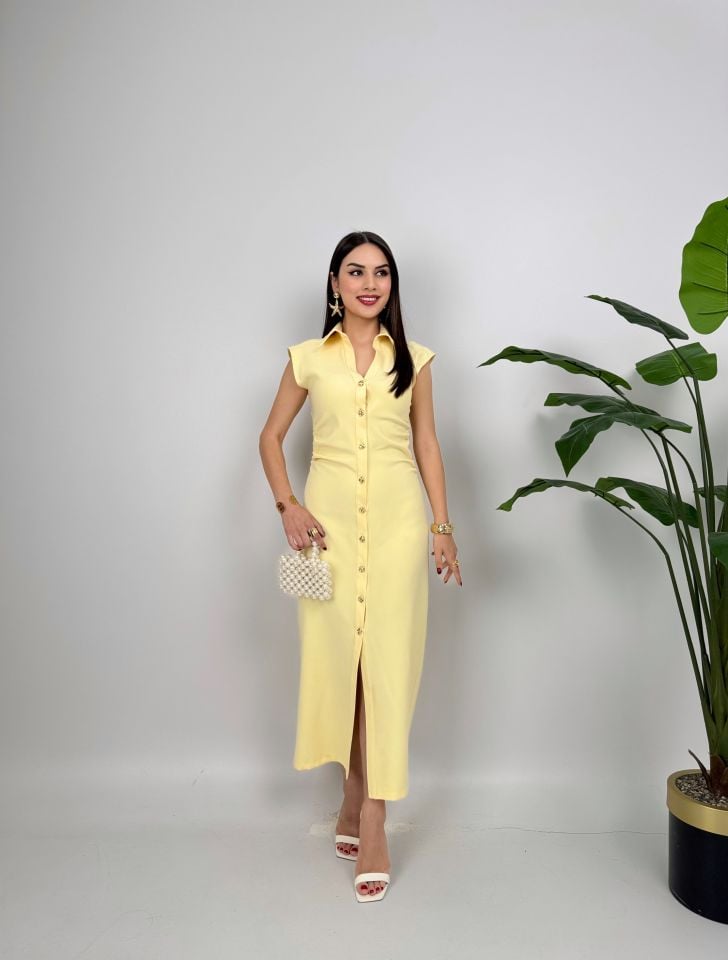 SARI