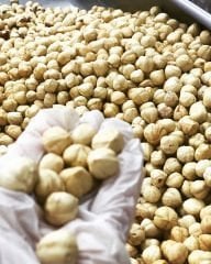 Kavrulmuş Fındık İçi -  500 gr Doypack