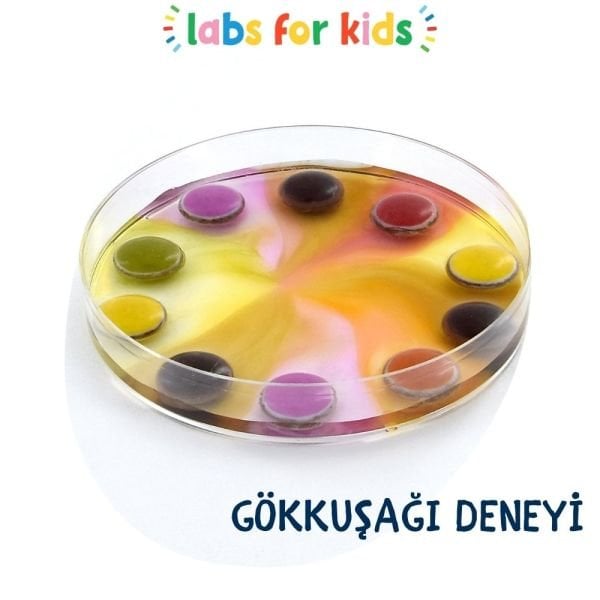 LABS FOR KIDS - Deney Seti