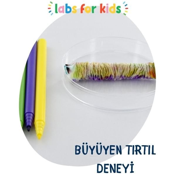 LABS FOR KIDS - Deney Seti