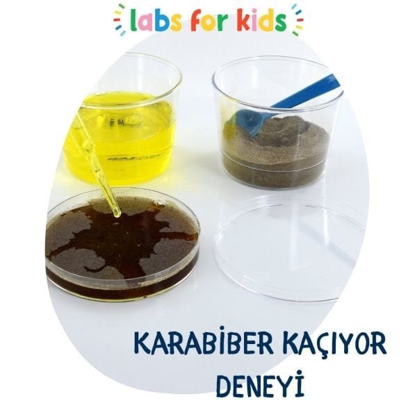 LABS FOR KIDS - Deney Seti