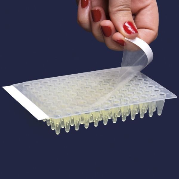 Yapıştırma Bandı - PCR Plakları İçin