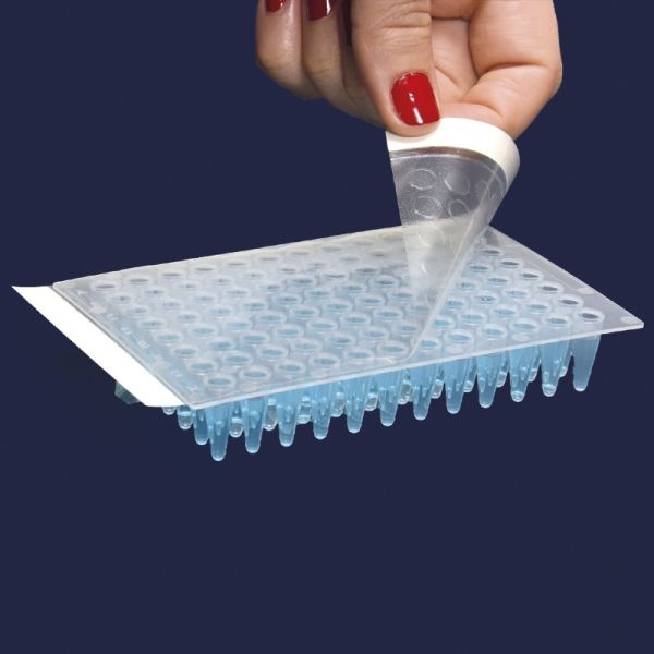 Yapıştırma Bandı - PCR Plakları İçin