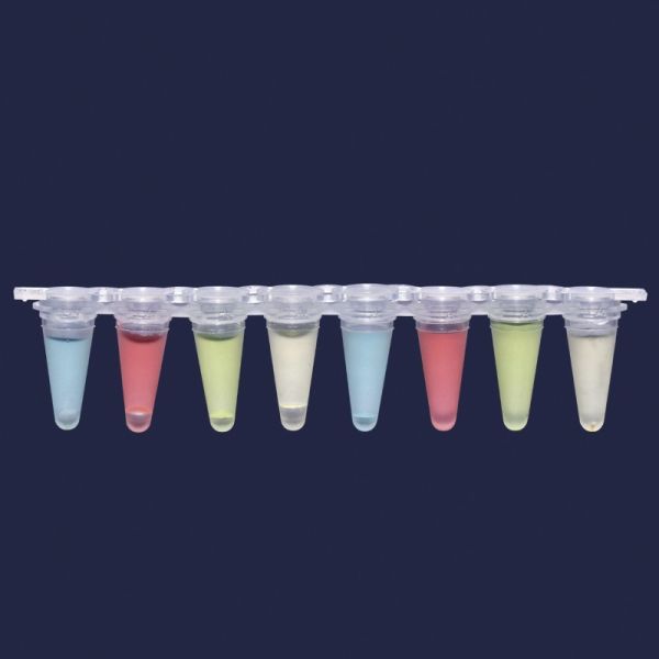 qPCR Tüpü - 8 Şeritli - Düz Kapaklı