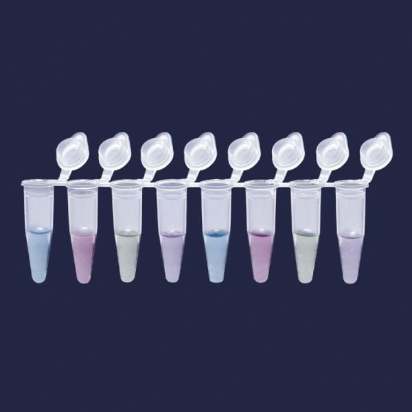 PCR Tüpleri - 8 Şeritli