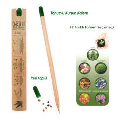 Çam Ağacı Tohumlu Kurşun Kalem