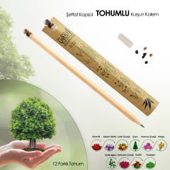 Dere Otu Tohumlu Kurşun Kalem