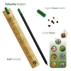 Domates Tohumlu Siyah Latalı Kurşun Kalem