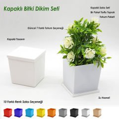 Promosyon Kare Kapaklı ve Tohumlu Bitki Dikim Seti