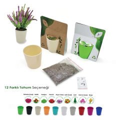 12 Farklı Tohum Seçeneği - Promosyon Bitki Dikim Seti