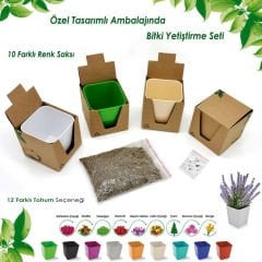 Doğanın Fikri , Kutulu Tohum Bitki Dikim Seti (Köşeli)