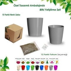 İlham Toprağı - Kutulu Bitki Dikim Seti (Yuvarlak)