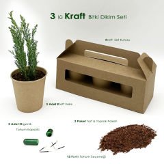 Sanat Tohumu - Tohumlu Bitki Dikim Seti