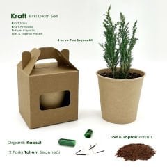 Yeniden Yeşil Dünya - Bitki Dikim Seti - Kraft Kutu