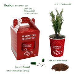 Yeşil Başlangıçlar - Bitki Dikim Seti (Karton Kutu) - 12 Farklı Tohum