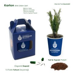 Yeşil Başlangıçlar - Bitki Dikim Seti (Karton Kutu) - 12 Farklı Tohum