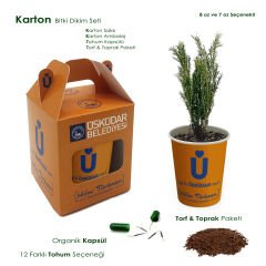 Yeşil Başlangıçlar - Bitki Dikim Seti (Karton Kutu) - 12 Farklı Tohum