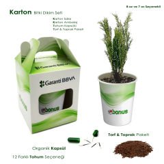 Yeşil Başlangıçlar - Bitki Dikim Seti (Karton Kutu) - 12 Farklı Tohum