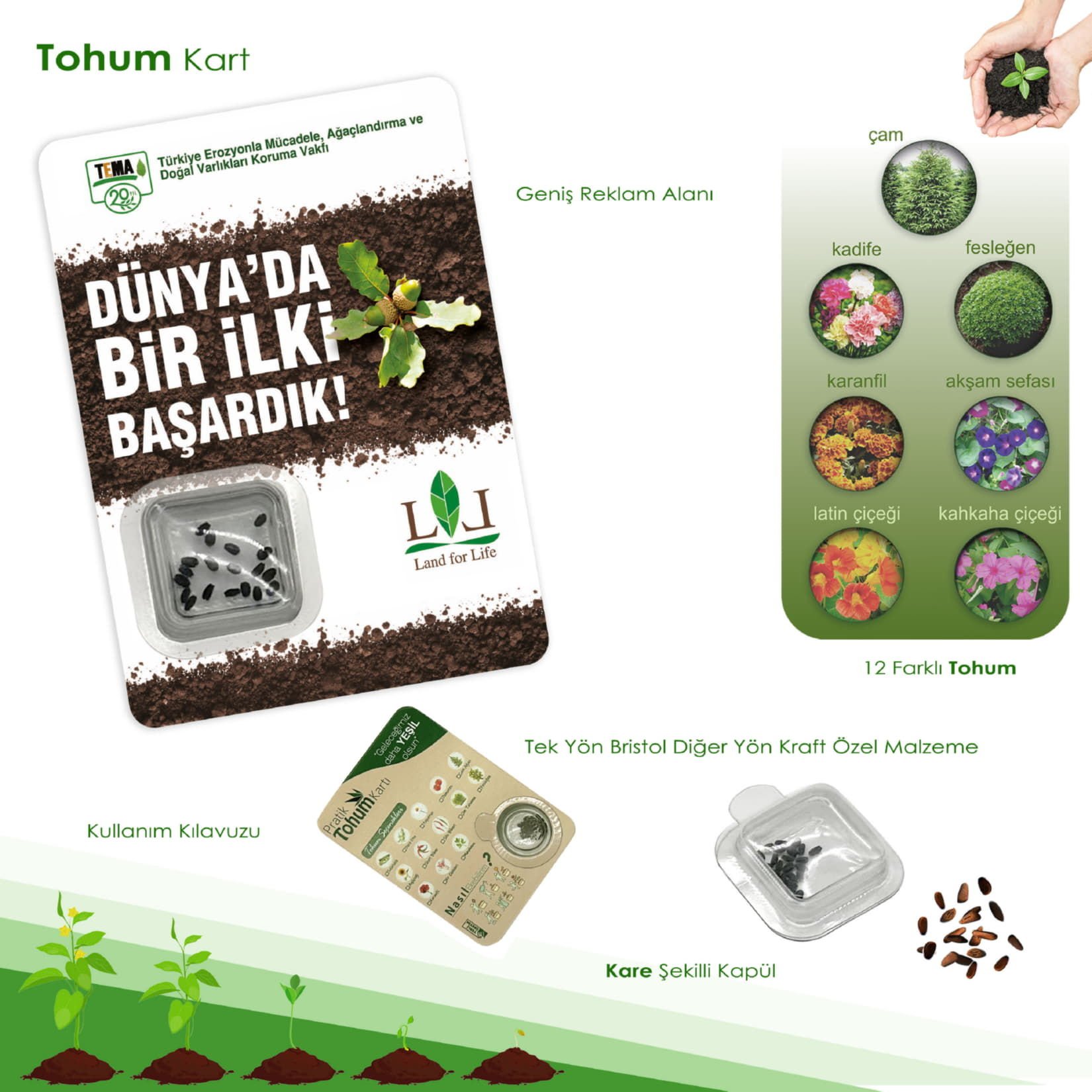 Kalp - Kare - Yuvarlak Tohum Kart