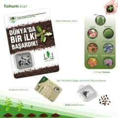 Kalp - Kare - Yuvarlak Tohum Kart