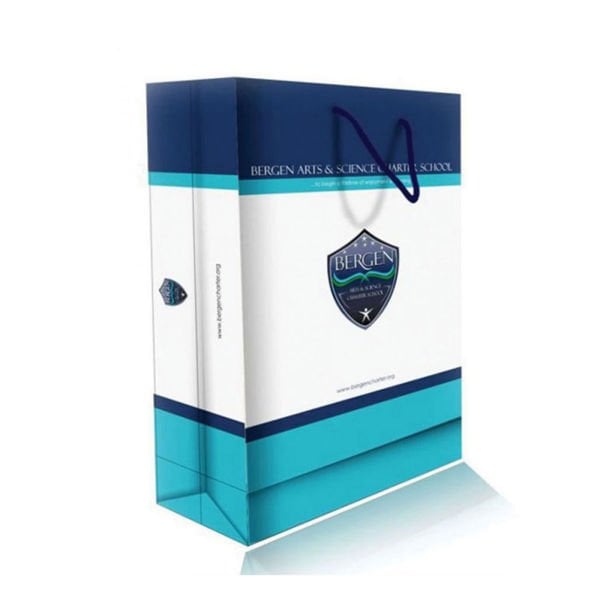 Karton Çanta - 27255 - 4