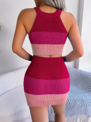 Kadın Kolsuz Halter Yaka Crop Ve Mini Etek Ikili Triko Takım