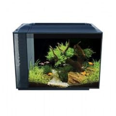 Fluval - Spec Akvaryum 60 L Siyah