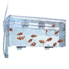 Fluval - Askı Plastik Yavruluk Büyük 26x14x12 Cm.