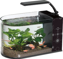 HAQOS - LOMAS BULLET NANO AKVARYUM 36 - 20,5cm*36,5cm*22,5cm