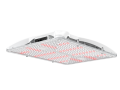 AVX-HL26