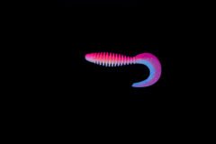 Caretta Curly 5 Cm Silikon Yem Saga