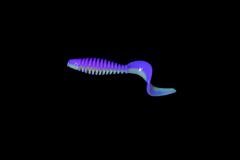 Caretta Curly 5 Cm Silikon Yem Camo