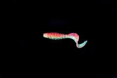 Caretta Curly 5 Cm Silikon Yem Complex